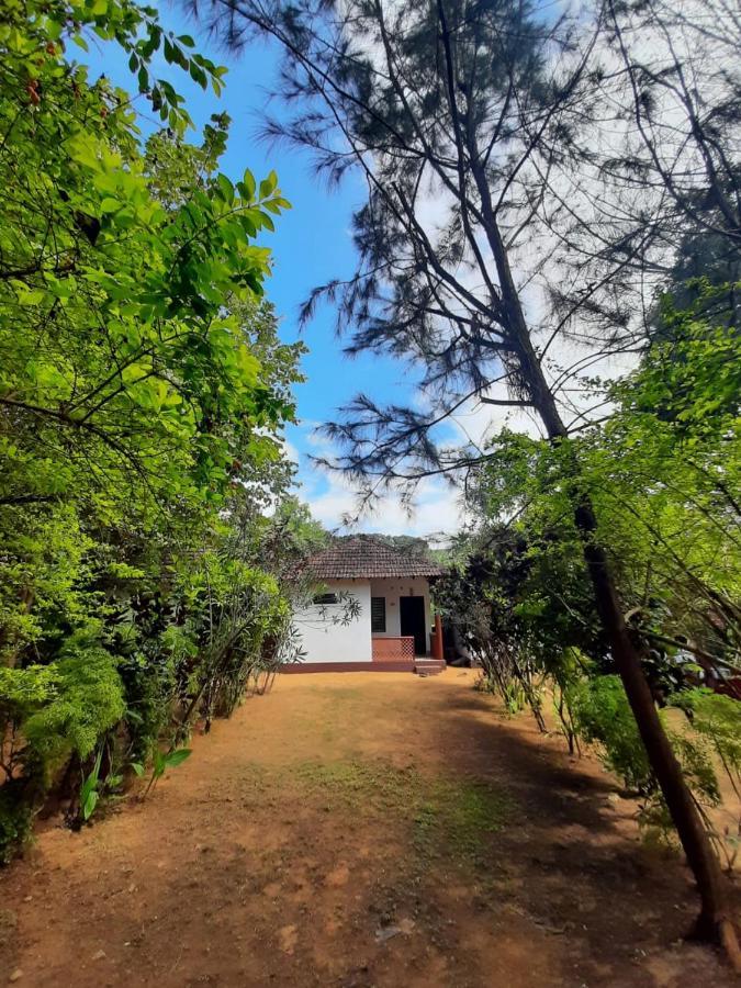 Tusker Tribe Hostel Gokarna  Luaran gambar